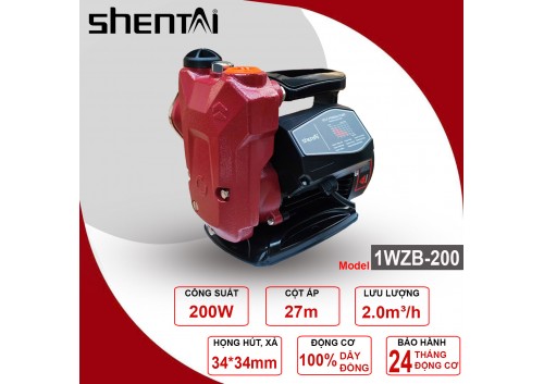Bơm chân không Shentai 1WZB-200