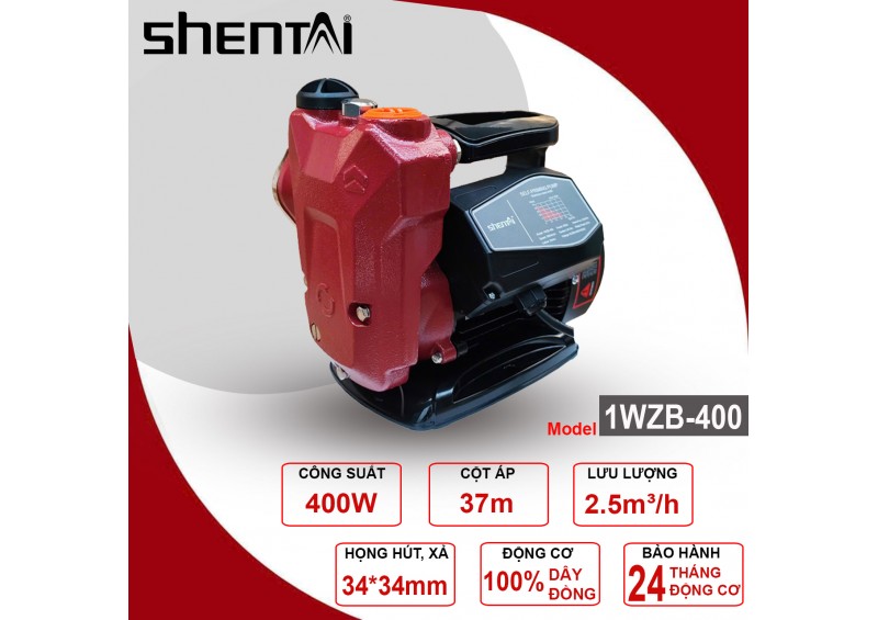 Bơm chân không Shentai 1WZB-400