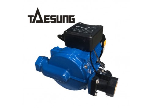 Máy bơm nước tăng áp lưu lượng TAESUNG 25TS-600